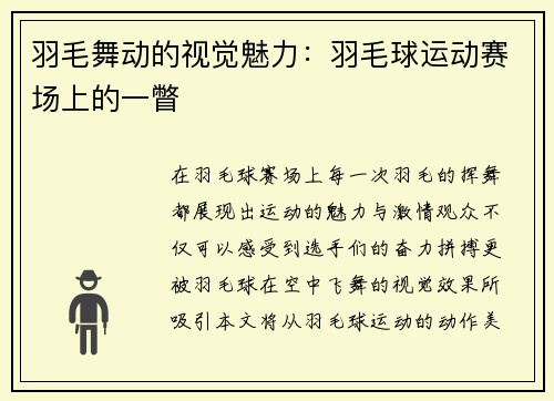 羽毛舞动的视觉魅力：羽毛球运动赛场上的一瞥